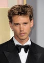 Austin Butler Royalty Free Stock Photo