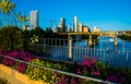 Austin Flowers over Pedestrian Walking Bridge Cityscape