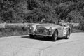 AUSTIN HEALEY 100/4 BN2 1955 on an old racing car in rally Mille Miglia 2018 the famous italian historical race 1927-1957