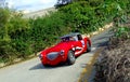 Vintage Car 1954 Austin Healey 100 BN1 in Race Action