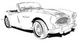 The Austin-Healey 3000