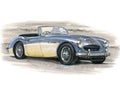 Austin Healey 3000