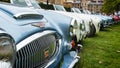 Austin Healy sports cars Royalty Free Stock Photo