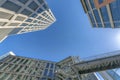 Austin, Texas- Low angle view of buildings with wall grids and tall windows modern design