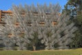 `Forever Bicycles`, work of Ai Weiwei in Austin