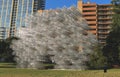 `Forever Bicycles`, work of Ai Weiwei in Austin