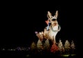 Jackalope and Christmas in Texas