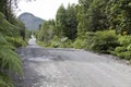 The austral road crossing through Pumalin park.