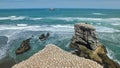 Australasian Gannets, Muriwai Beach, North Island, New Zealand Royalty Free Stock Photo