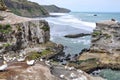 Australasian Gannets, Muriwai Beach, North Island, New Zealand Royalty Free Stock Photo