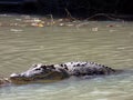 Australia, alligator river, kakadu, Royalty Free Stock Photo
