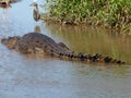 Australia, alligator river, Kakadu national park