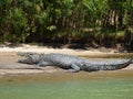 Australia, alligator river, kakadu Royalty Free Stock Photo