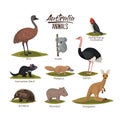 Australia animals set in colorful silhouette