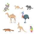 Australia animals set