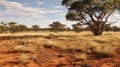 australia australian bushland arid Royalty Free Stock Photo