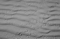 Australia: Bird-spoors in the sand at Fraser Island in Queensland