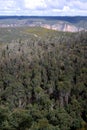 Australia: Blue Mountains bushland from Mount Banks Royalty Free Stock Photo