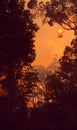 Australia: A bush fire in Queensland Royalty Free Stock Photo