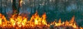 Australia bushfires, fire is fueled by wind and heat Royalty Free Stock Photo