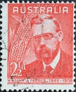 AUSTRALIA-CIRCA 1948 : A post stamp printed in Australia showing a portrait of the scientist William J. Farrer - agronomist 1845-