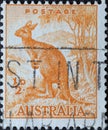 AUSTRALIA-CIRCA 1949 : A post stamp printed in Australia showing the heraldic animal a red kangaroo Macropus rufus