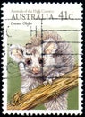 AUSTRALIA - CIRCA 1990: stamp 41 Australian cents printed in Australia, shows Greater Glider Petauroides volans, circa 1990