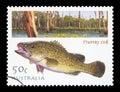 AUSTRALIA - Postage Stamp