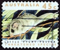 AUSTRALIA - CIRCA 1992: A stamp printed in Australia shows Little pygmy-possum Cercartetus lepidus, circa 1992. Royalty Free Stock Photo