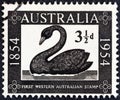 AUSTRALIA - CIRCA 1954: A stamp printed in Australia shows Mute Swan, circa 1954.