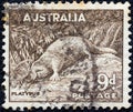 AUSTRALIA - CIRCA 1937: A stamp printed in Australia shows a Platypus Ornithorhynchus anatinus, circa 1937. Royalty Free Stock Photo