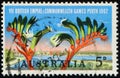 AUSTRALIA - CIRCA 1962: stamp printed in Australia, shows View of Perth and kangaroo paw (Anigozanthos manglesii) Royalty Free Stock Photo