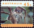 AUSTRALIA - CIRCA 1994: A stamp printed in Australia from the `Australian Wildlife 2nd series` issue shows koala, circa 1994.