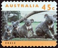 AUSTRALIA - CIRCA 1994: A stamp printed in Australia from the `Australian Wildlife 2nd series` issue shows koala, circa 1994.