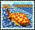 AUSTRALIA - CIRCA 1984: A stamp printed in Australia from the `Marine Life` issue shows an Orange-lipped cowrie, circa 1984.