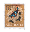 AUSTRALIA - CIRCA 1966: A stamp printed in shows