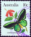 AUSTRALIA - CIRCA 1981: A stamp printed in Australia shows a Cairns birdwing butterfly, circa 1981.