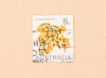 A stamp printed in Australia shows a flower Golden Wattle, circa 1970