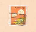 A stamp printed in Australia shows a flower Helichrysum thomsonii circa 1980