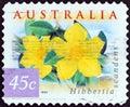 AUSTRALIA - CIRCA 1999: A stamp printed in Australia shows Guinea flower Hibbertia scandens, circa 1999.