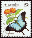 AUSTRALIA - CIRCA 1981: A stamp printed in Australia shows a Papilio Ulysses butterfly, circa 1981. Royalty Free Stock Photo