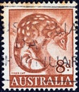 AUSTRALIA - CIRCA 1959: A stamp printed in Australia shows a Tiger Cat Dasyurus maculatus, circa 1959.