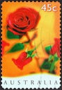 AUSTRALIA - CIRCA 1997: A stamp printed in Australia from the `St. Valentine`s Day` issue shows Red Roses, circa 1997.