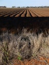 Australia: cotton field irrigation ditches Royalty Free Stock Photo