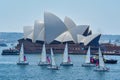 Small Yachts, Sydney Harbour and Opera House, Australia