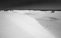 Australia: desert vegetation and sand dunes on Fraser Island in the Great Barrier Reef Royalty Free Stock Photo