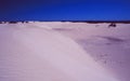 Australia: desert-vegetation and sanddunes on Fraser Island Royalty Free Stock Photo