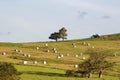 A farmer is driving agricultural machinery to work on a farm with haystacks