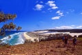 Australia: Fraser Island in the Great Barrier Reef in Queensland