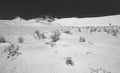 Australia: Fraser Island Sand dunes and vegetation Royalty Free Stock Photo